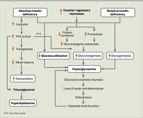 diabetic ketoacidosis workup|Adult Diabetic Ketoacidosis .